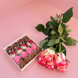 CHOCOBERRY SHOP64