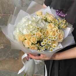 Ирис Blumen