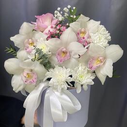 Флория