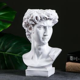 NARCISSUS