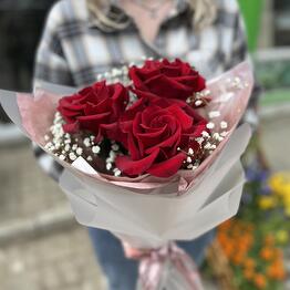 Французские бордовые розы (3 шт)