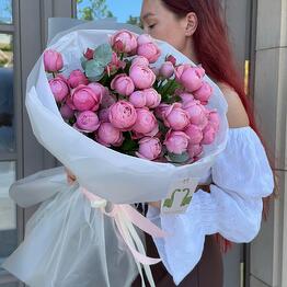 VESNA