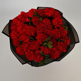 FloraDiscont