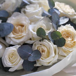Lux Flowers