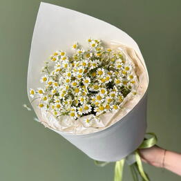 Floravud