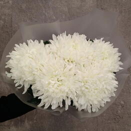 Beautiful Flowers в Крылатском