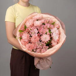  Pion
