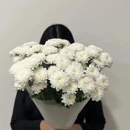 Арт флора
