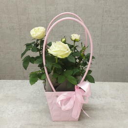 Nataliflowers24 Студия цветов