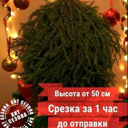 Цветочный рай
