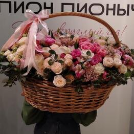 Pion Pionych premium