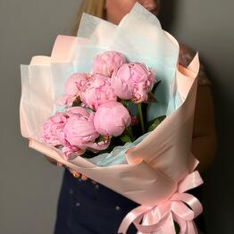 Peony pink Sarah Bernhardt 7