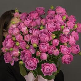 orxideya_rostov