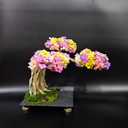Studiya fitodizayna "Micro Garden"