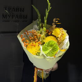 Travy Muravy