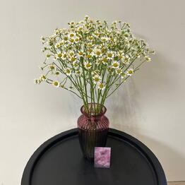 Florastation