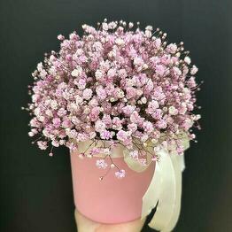 FlowerSecret 