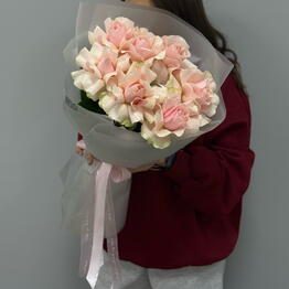 PION
