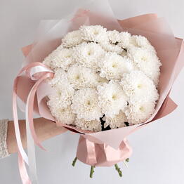 Flowers Nikol