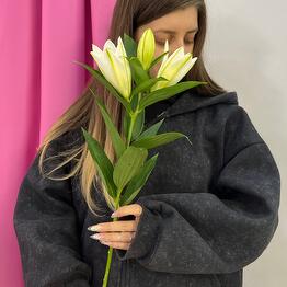 GiveFlowers