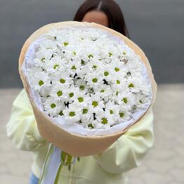 Jasmine 