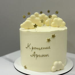 Twins_cake