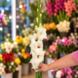 M. Flowers
