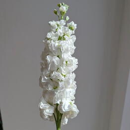 Flowers for Happiness