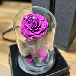 Purple Rose in a flask