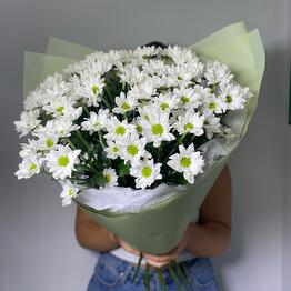 ЦветКам