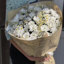 Ирис Blumen