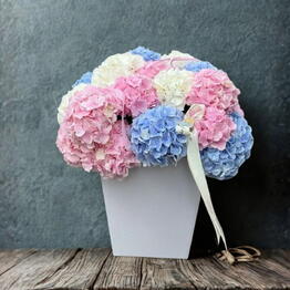 Versal' flowers