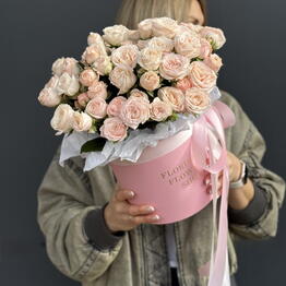 Florideya 