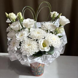 Estetic Flowers