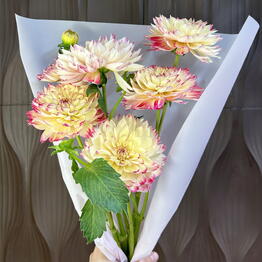 OCR FLOWERS