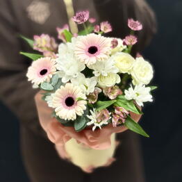 Anemon