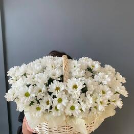 Цветочная Теплица