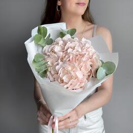Delicate bouquet of compliments pink hydrangea and eucalyptus
