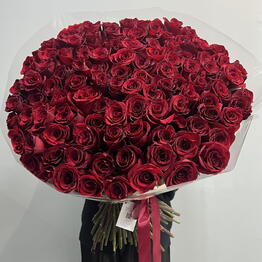101 Роза красная крупная и высокая PREMIUM ROSE