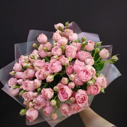 Roza Roz