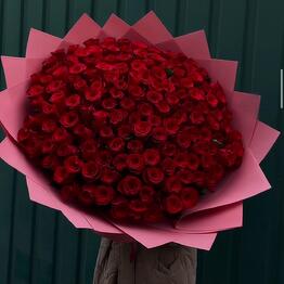 101 rosas rojas por paquete
