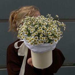 Mood flowers 