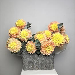 Symphony Flowers
