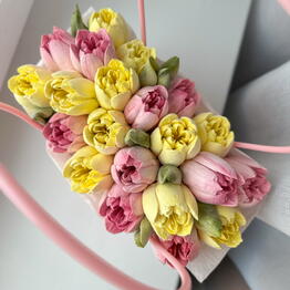 Vero Bloom