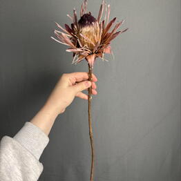EFlowers