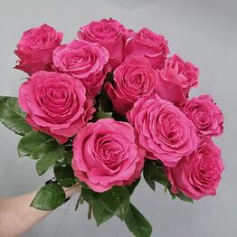Ekzotika Flowers