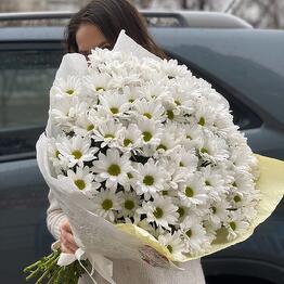 Buketnaya FanFan