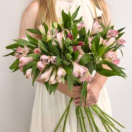 Flowers Nikol