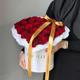 Romeo Astana