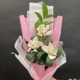 Florion 